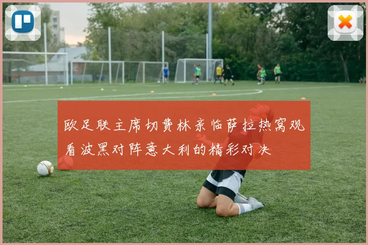 欧足联主席切费林亲临萨拉热窝观看波黑对阵意大利的精彩对决